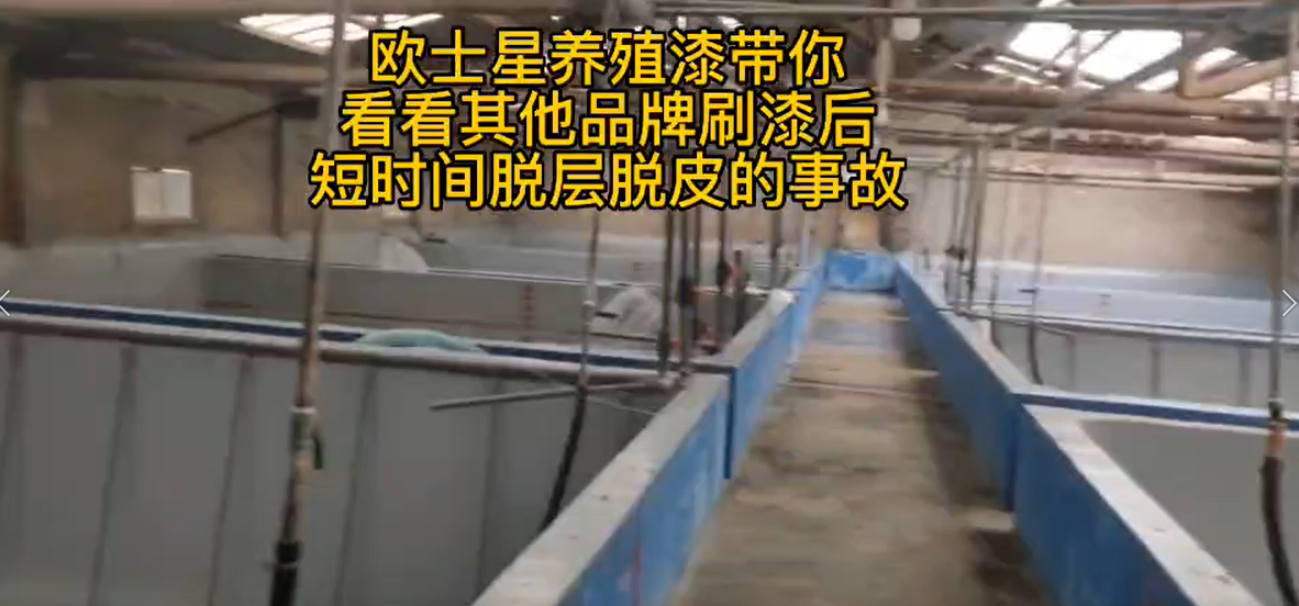 歐士星養(yǎng)殖漆施工提示（脫層脫皮）