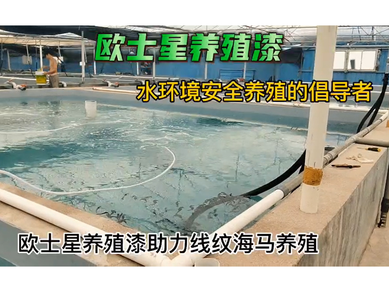 歐士星養(yǎng)殖漆助力線紋海馬養(yǎng)殖，9月19日刷完漆，10月8日回訪，放水養(yǎng)殖，搬馬順利。水質(zhì)好，海馬狀態(tài)佳，攝食順利，刷完漆，環(huán)境好，更好養(yǎng)