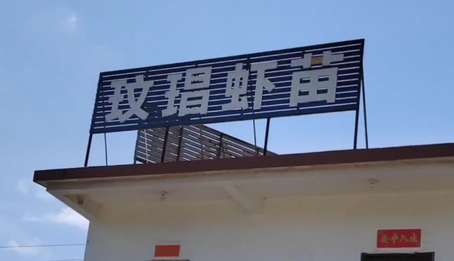 養殖漆案例視頻